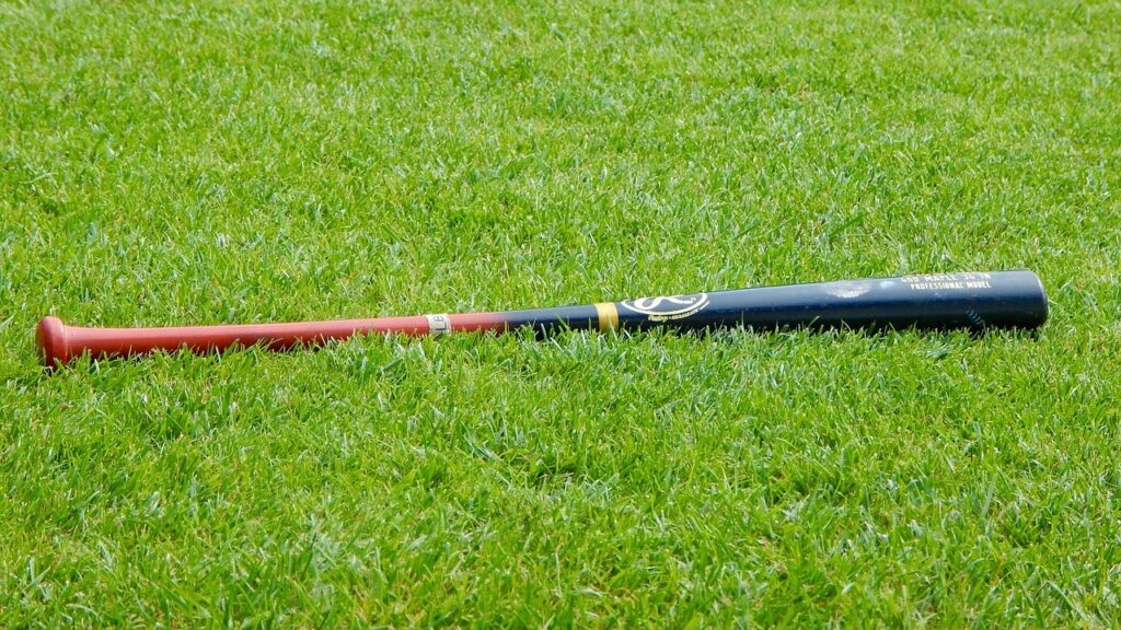 baseball, baseball bat, sport, lawn, grass, green, nature, game, sporty, activities, baseball, baseball bat, baseball bat, baseball bat, baseball bat, baseball bat